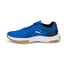 Puma Varion