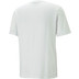 PUMA Handboll T-shirt Herren