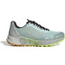 adidas Terrex Agravic Flow 2 GTX Heren