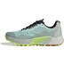 adidas Terrex Agravic Flow 2 GTX Heren