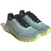 adidas Terrex Agravic Flow 2 GTX Heren