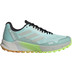 adidas Terrex Agravice Flow Heren