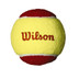 Wilson Starter 36er-Pack