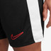Nike Academy Short 5