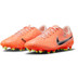Nike Tiempo Legend 10 Academy FG/MG 1