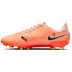 Nike Tiempo Legend 10 Academy FG/MG 3