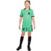 Nike Atletico Madrid 3rd Short Kids 2023/2024