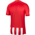 Nike Atletico Madrid Home Shirt 2023/2024