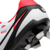 Nike Tiempo Legend 10 Academy FG/MG 3
