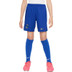Nike Chelsea Pre-Match Trainingsset Kids