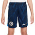 Nike Chelsea Uit Tenue Kids