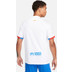 Nike FC Barcelona Match Uit Shirt 2023/2024