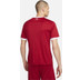 Nike Liverpool Thuis Tenue