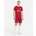 Nike Liverpool Thuis Tenue