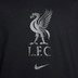 Nike Liverpool Crest Tee 2023/2024