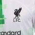 Nike Liverpool Borta Fotboll kit 
