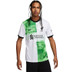 Nike Liverpool Borta Fotboll kit 
