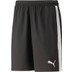 Puma Team Liga Short