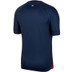 Nike Paris Saint-Germain Thuis Tenue