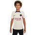 Nike Paris Saint-Germain Strike Trainingsset Kids