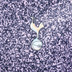 Nike Tottenham Hotspur Pre-Match Top 2023/2024