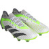 adidas Predator Accuracy .1 Low FG