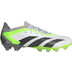 adidas Predator Accuracy .1 Low AG