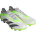 adidas Predator Accuracy .1 Low AG