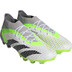 adidas Predator Accuracy .1 AG