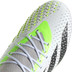 adidas Predator Accuracy .1 AG