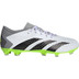 adidas Predator Accuracy .3 Low FG