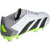 adidas Predator Accuracy .3 Low FG