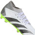 adidas Predator Accuracy .3 FG