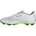 adidas Predator Accuracy .4 FxG