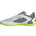 adidas Predator Accuracy .4 Indoor