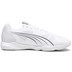 Puma Attacourt