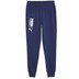 Puma Handball Pants Men