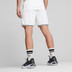 Puma Hoops Team Game Short Men 5