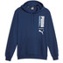 Puma Handball Hoodie Men