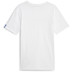 Puma Handball Tee Herren