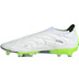 adidas Copa Pure+ FG 5