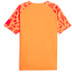 Puma Team Liga Graphic Tee