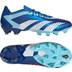 adidas Predator Accuracy .1 Low AG