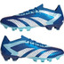 adidas Predator Accuracy .1 Low AG
