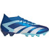 adidas Predator Accuracy .1 AG