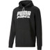 Puma Team Liga Hoody 1