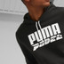 Puma Team Liga Hoody 4