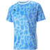 Puma Team Liga Graphic Tee