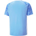 Puma Team Liga Graphic Tee