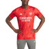 adidas Arsenal Pre-Match Shirt 2023/2024